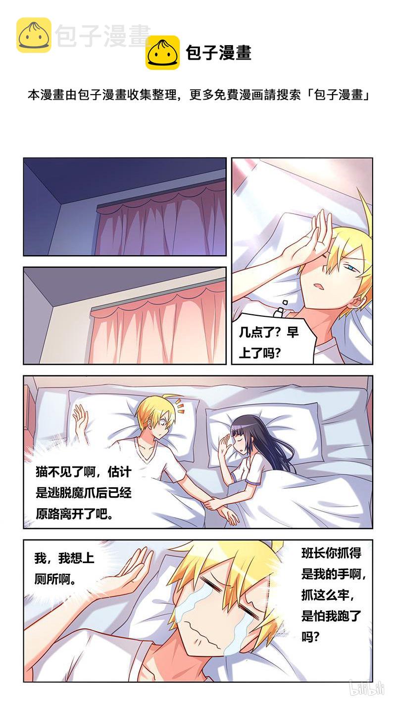 427 以猫为界7