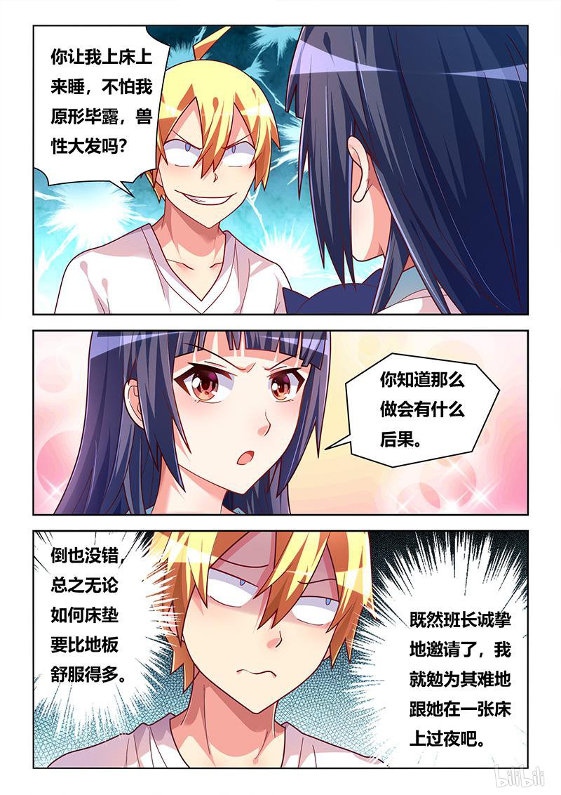 427 以猫为界4