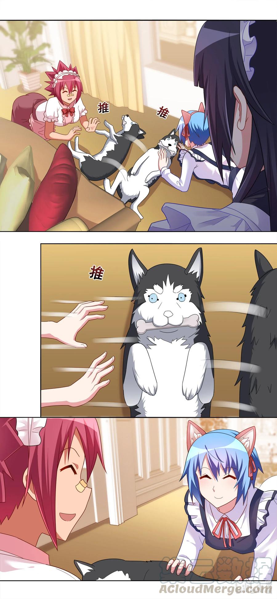 665 猫狗乐园4