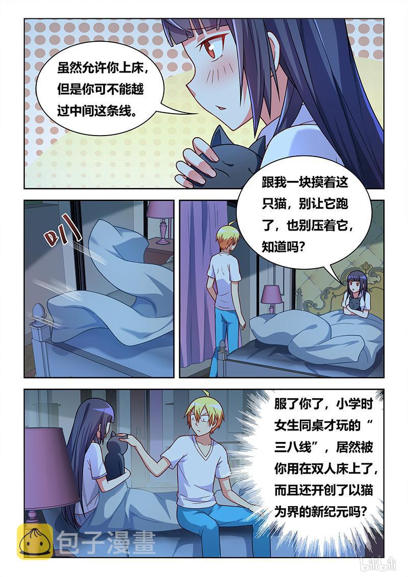 427 以猫为界3
