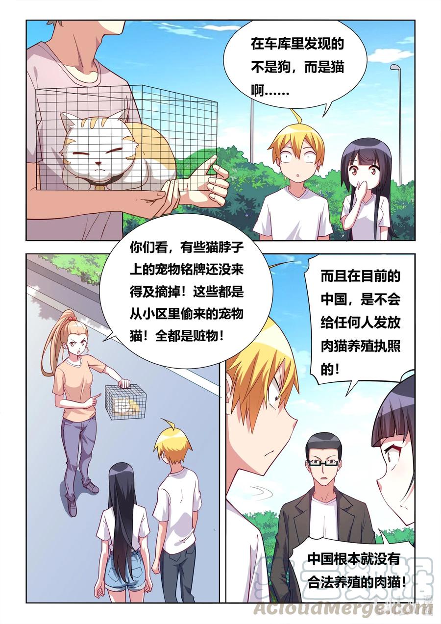 599 报复的阴影2