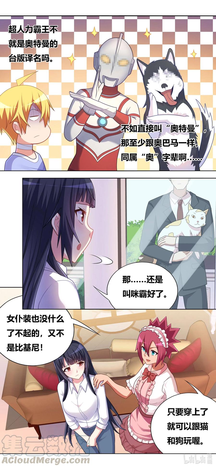662 猫狗乐园7