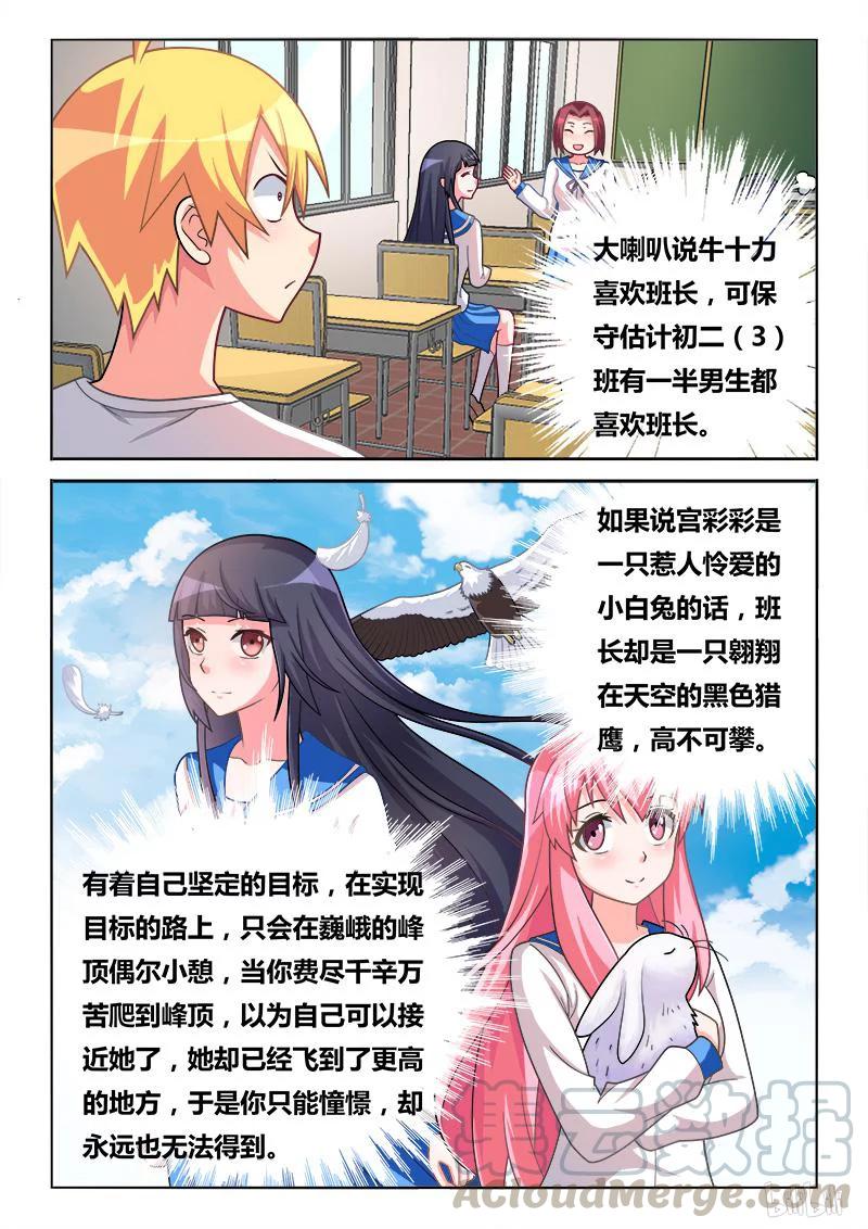 299 白兔和猎鹰8