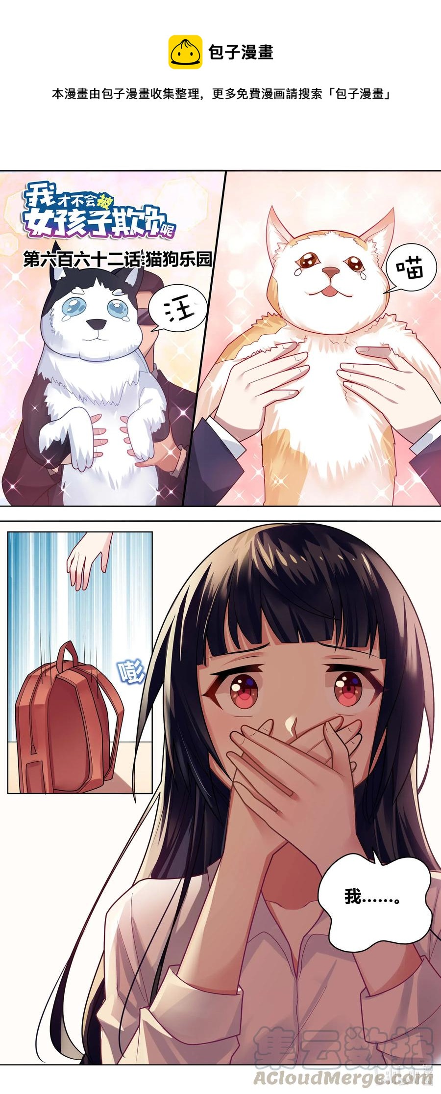 662 猫狗乐园0