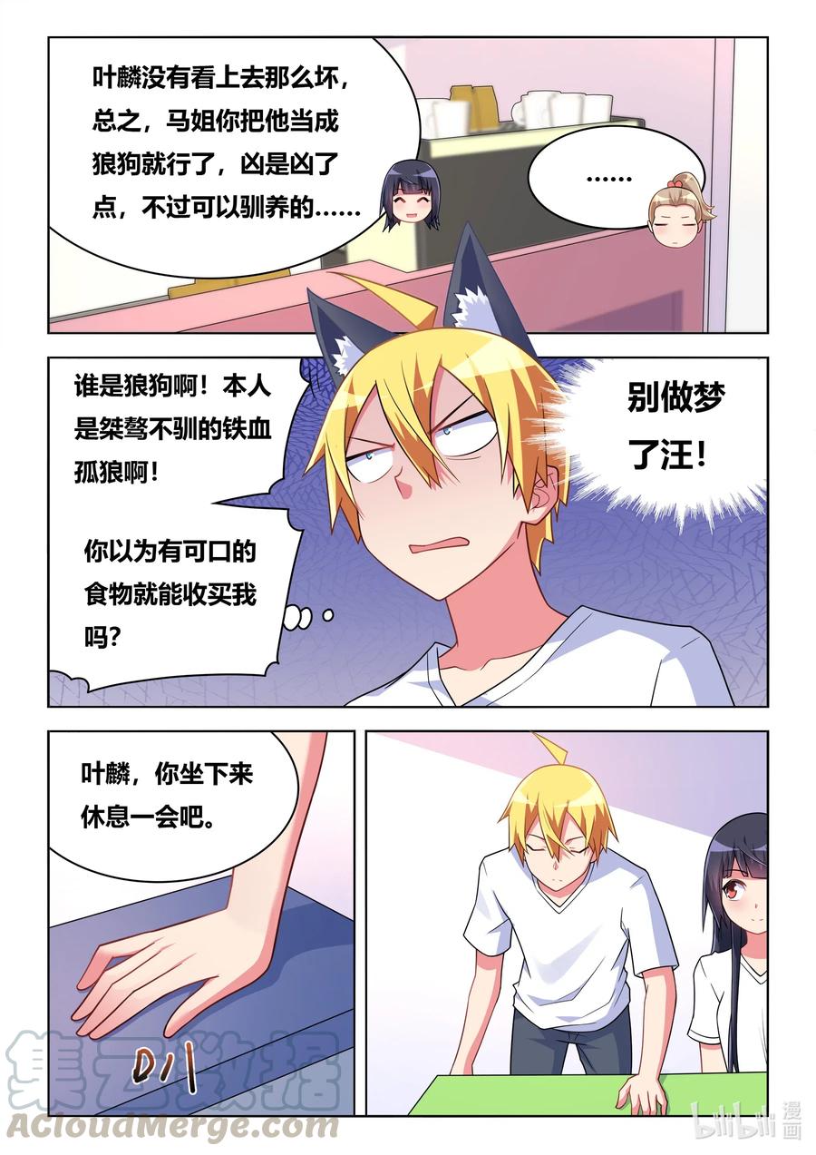 593 驯养狼狗9