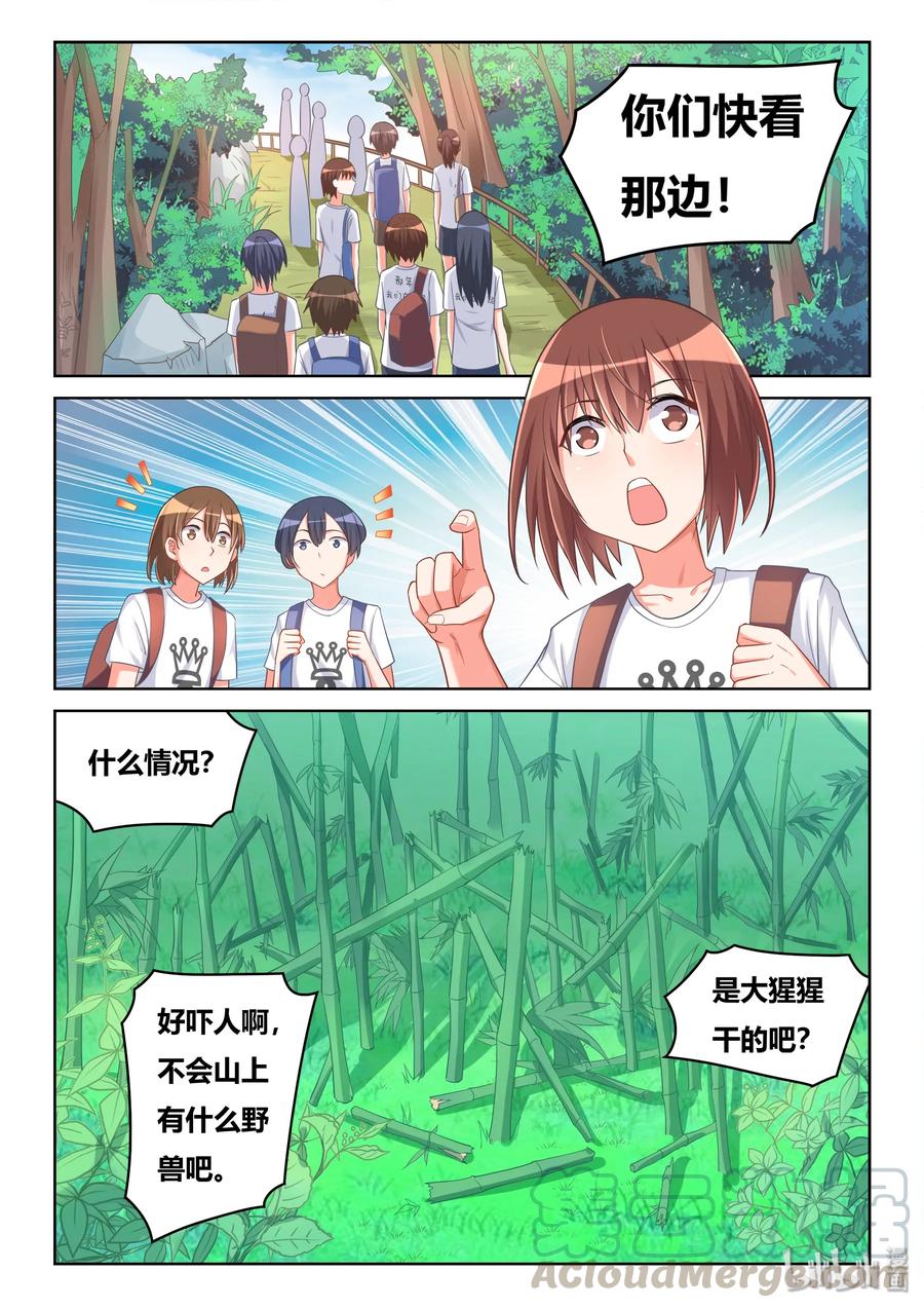 522 两只水獭4
