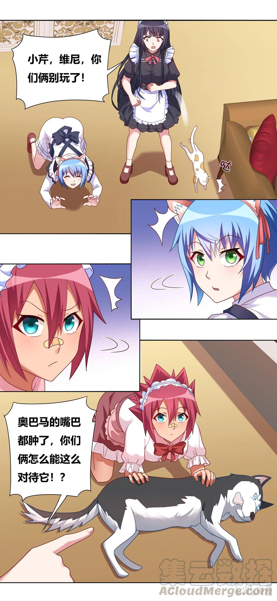 665 猫狗乐园5
