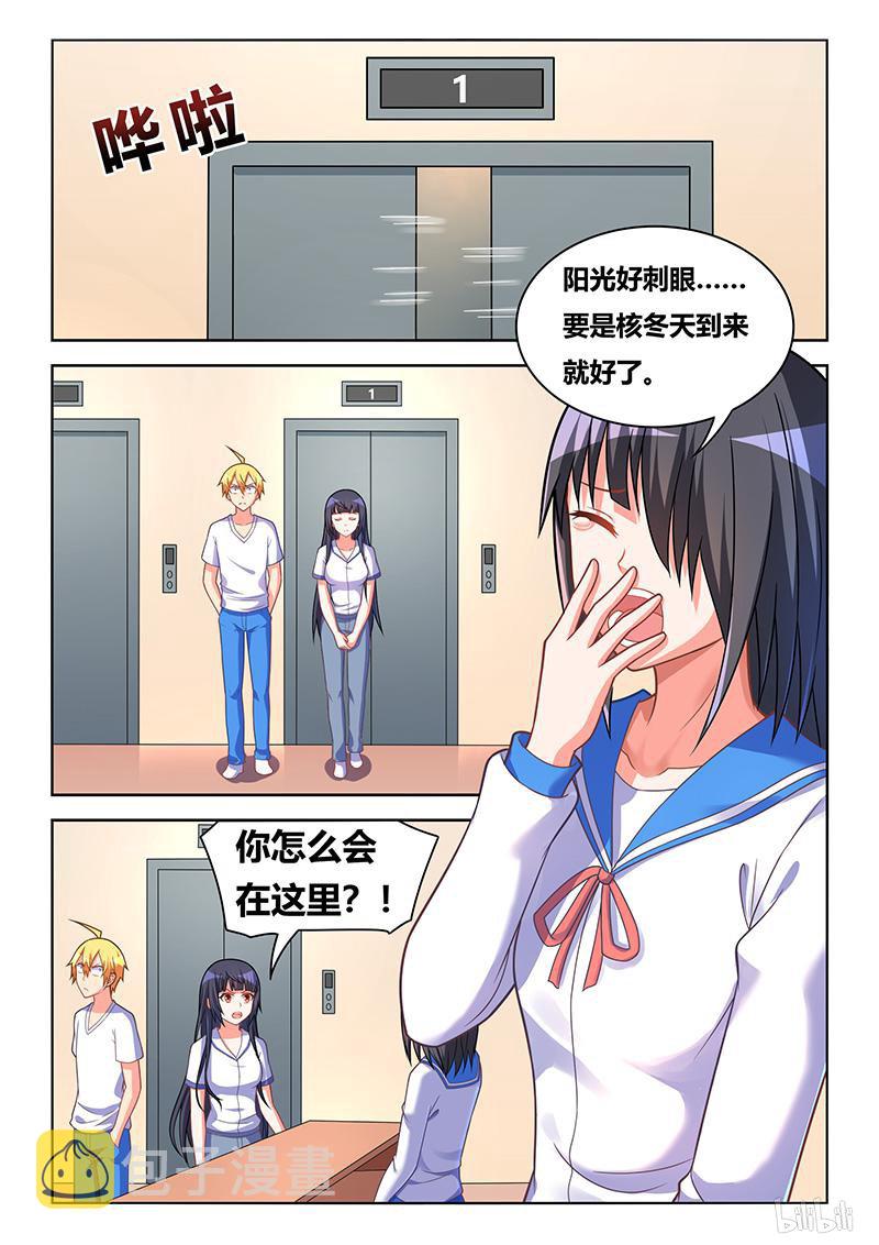 427 以猫为界12
