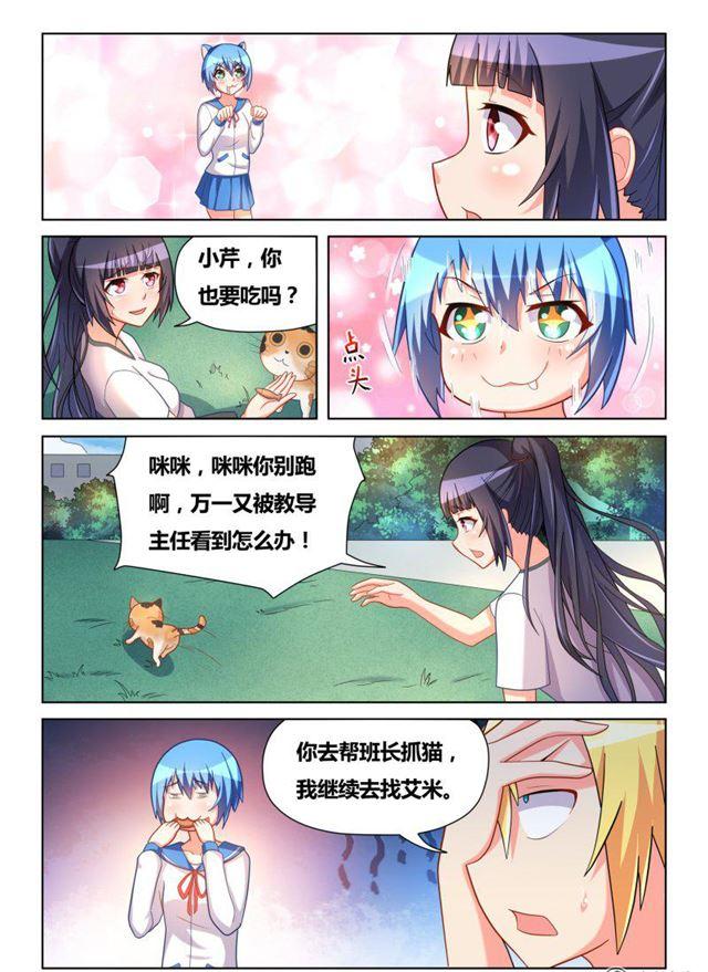 311 艾米捕获装置4