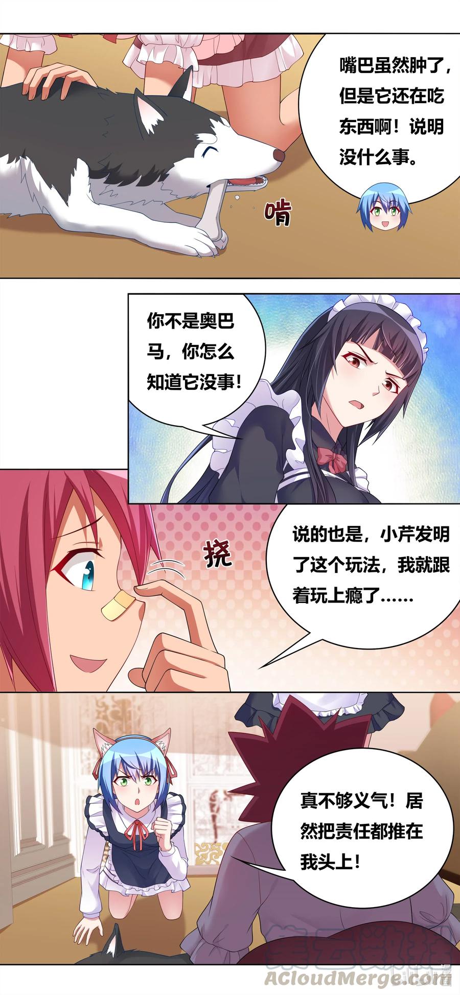 665 猫狗乐园6