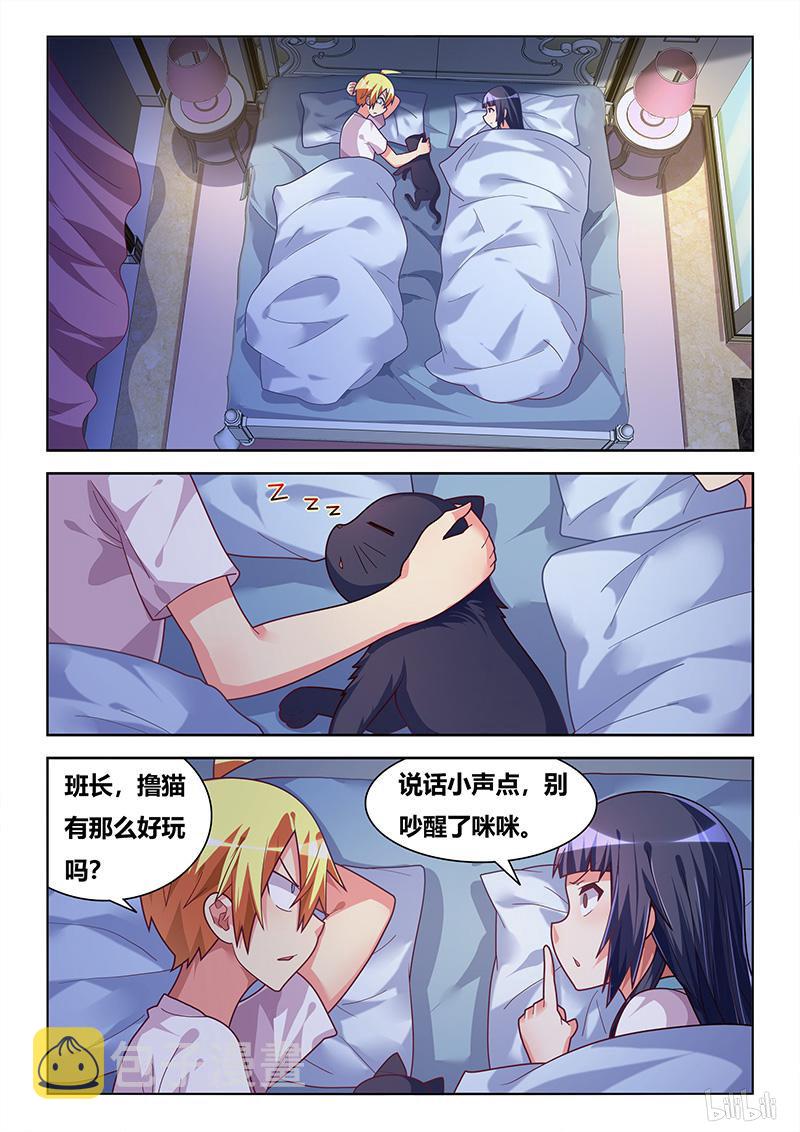 427 以猫为界5