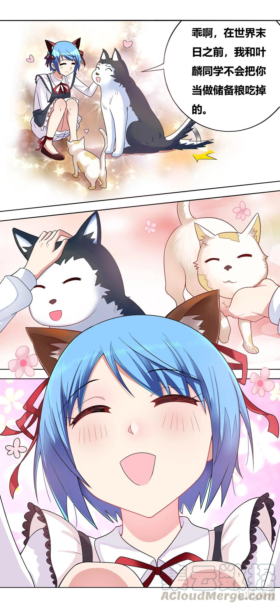 662 猫狗乐园10