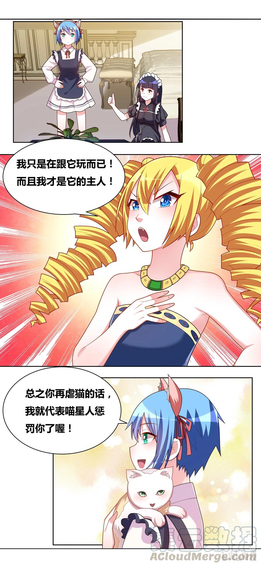 665 猫狗乐园1