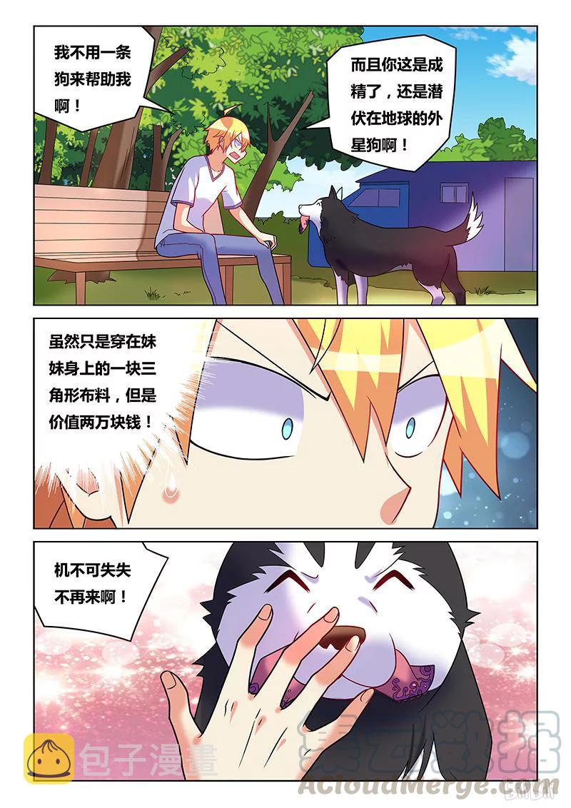 194 功败垂成2