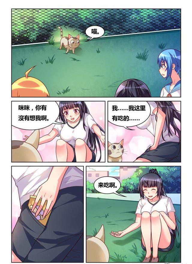 311 艾米捕获装置3