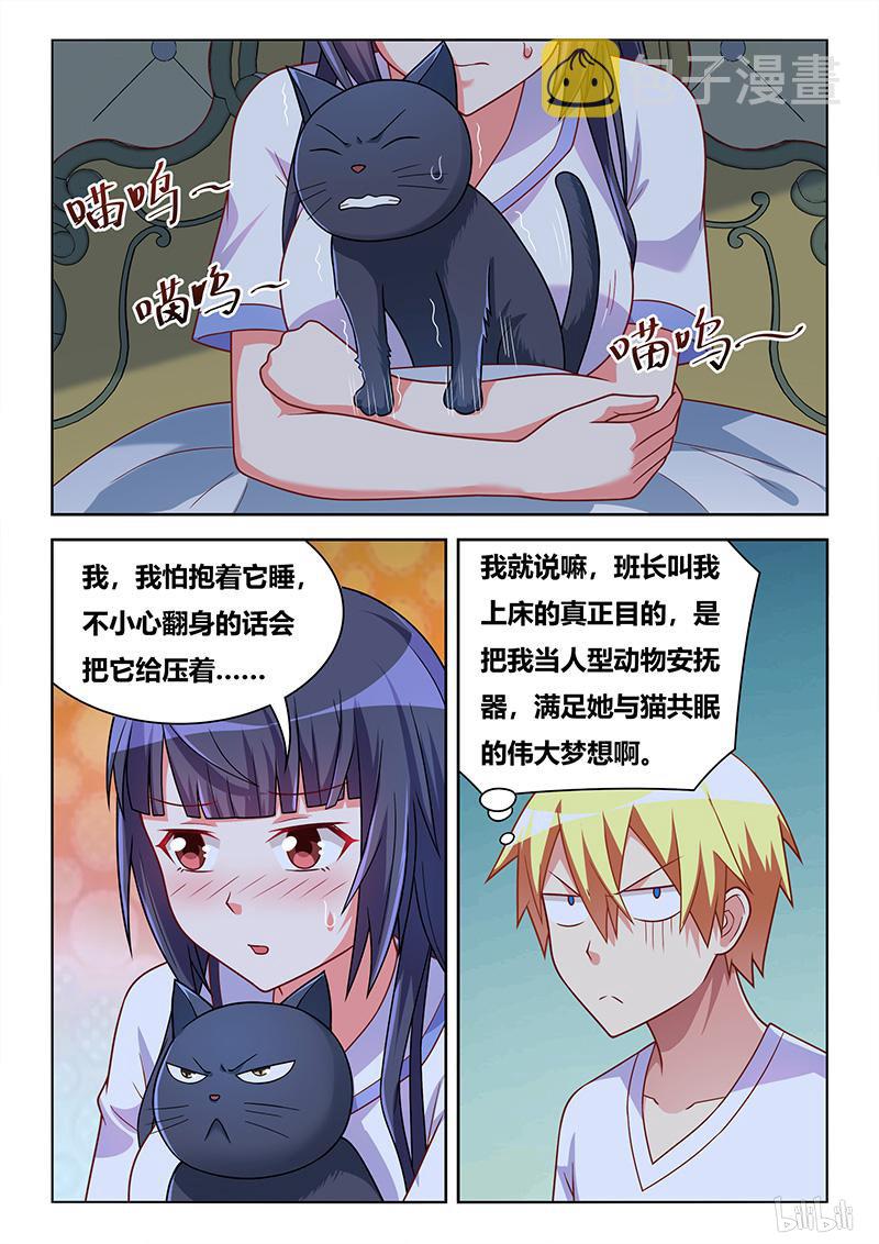427 以猫为界2