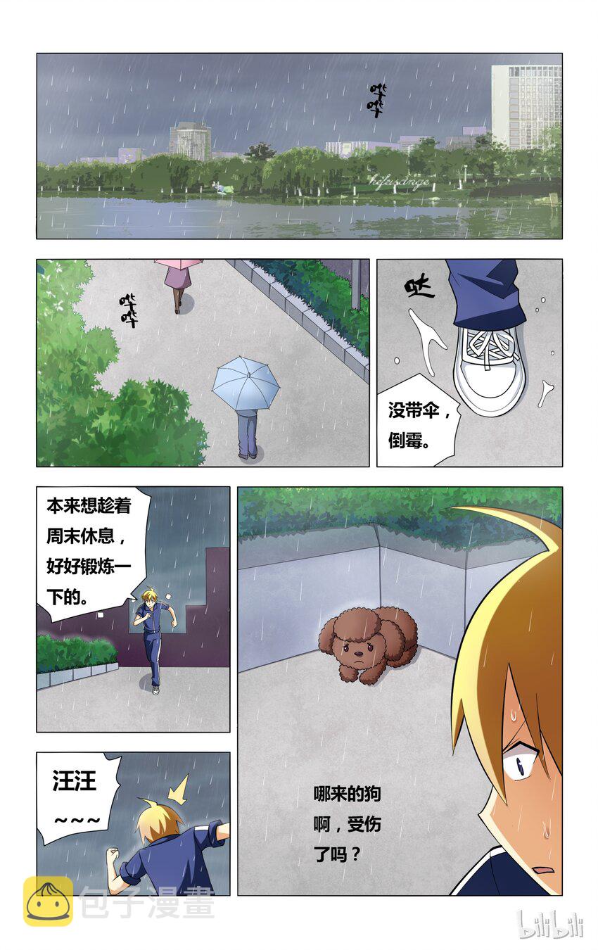 5 误会 狗 以及雨天17