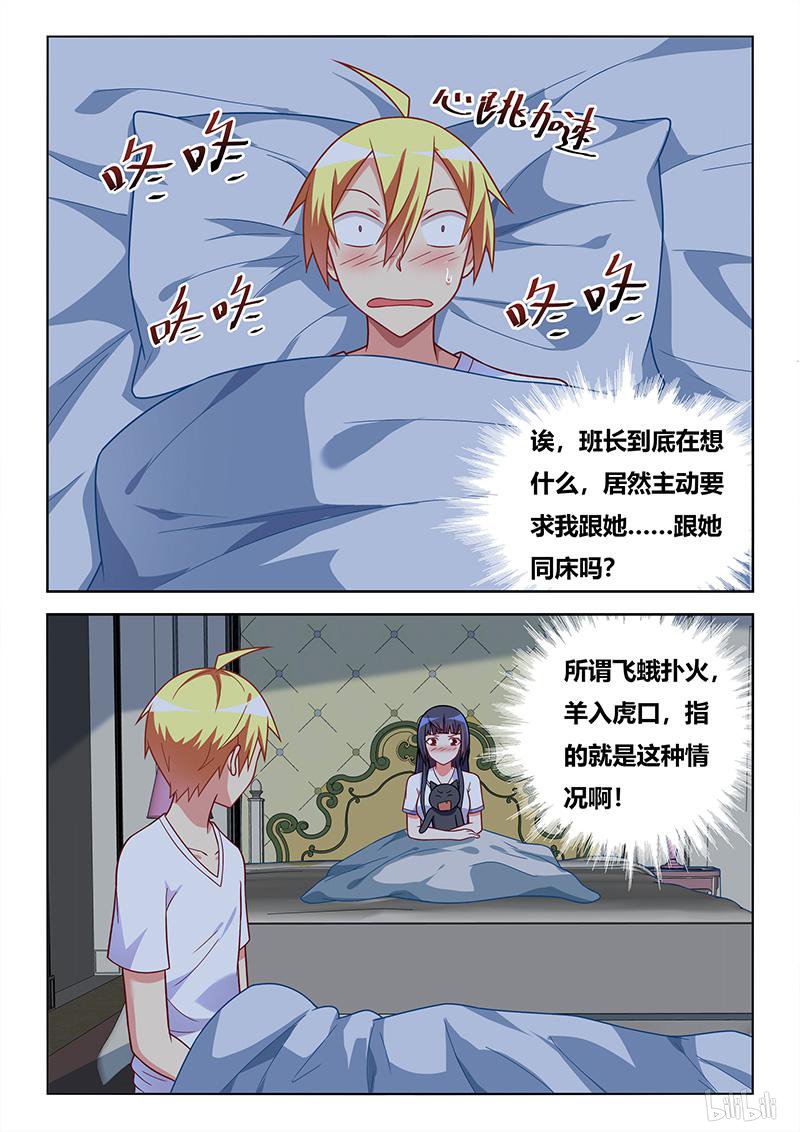 427 以猫为界1