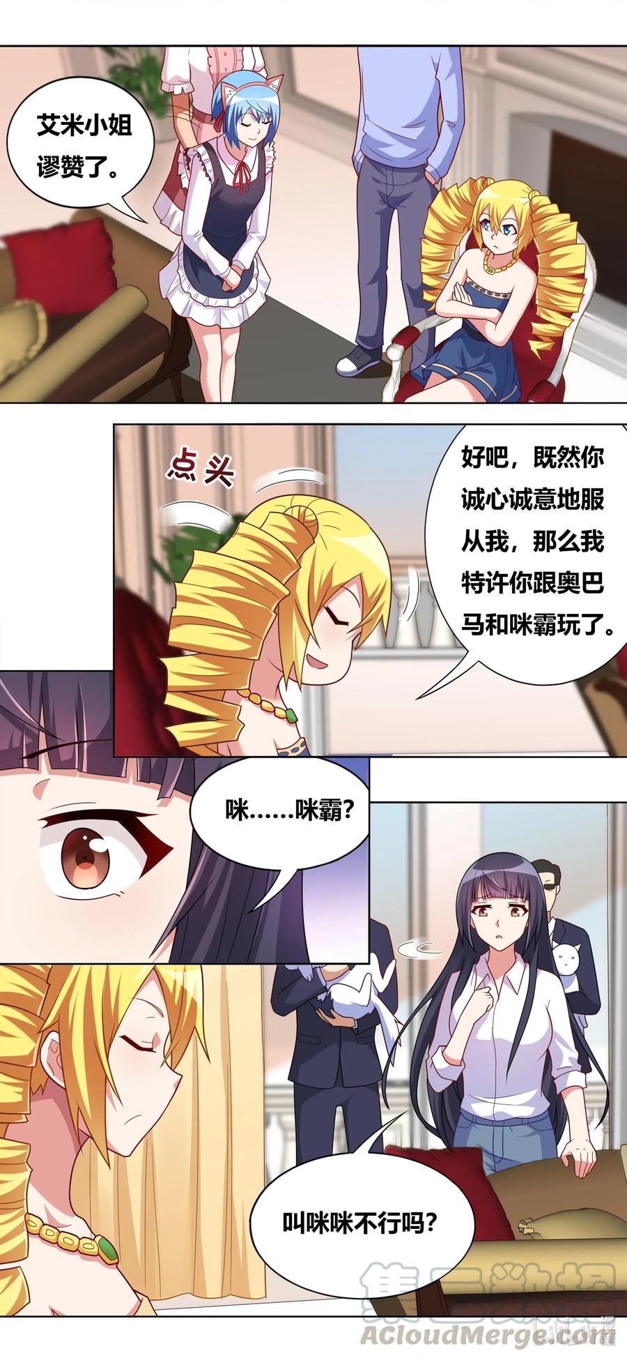 662 猫狗乐园5