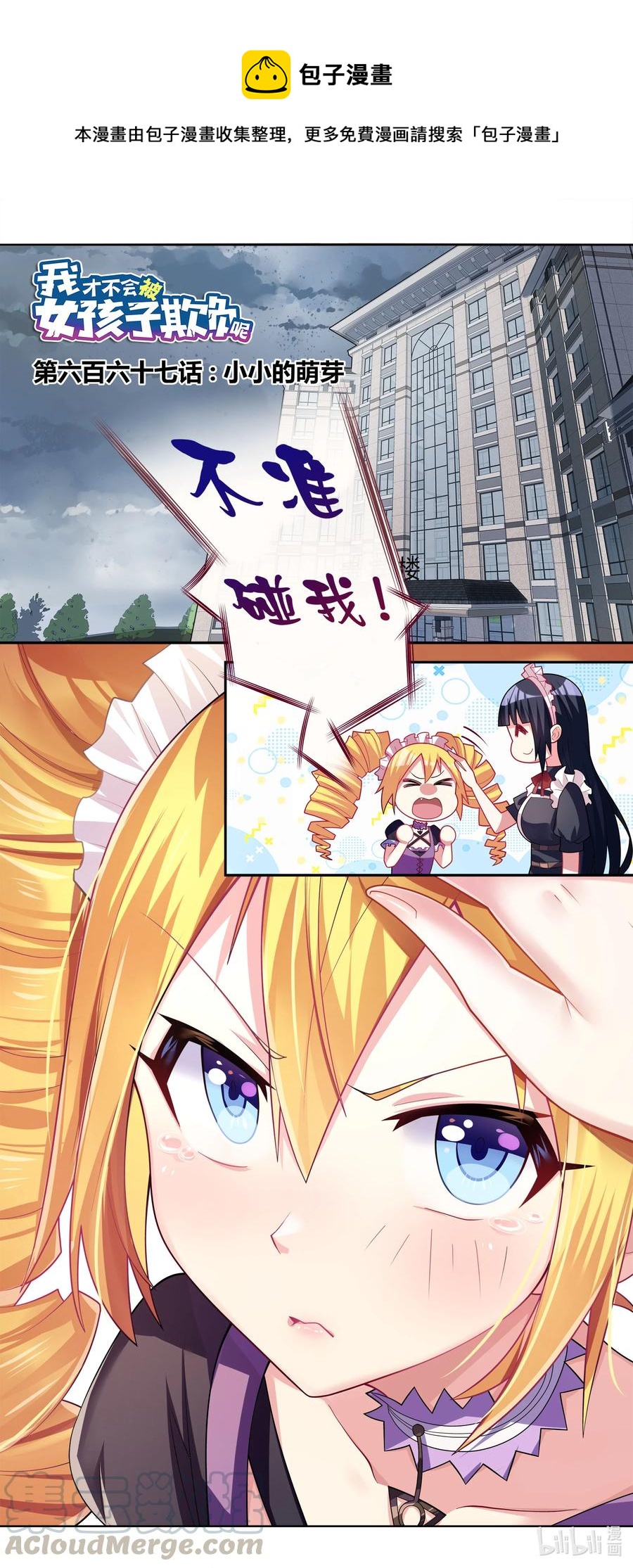 667 小小的萌芽0