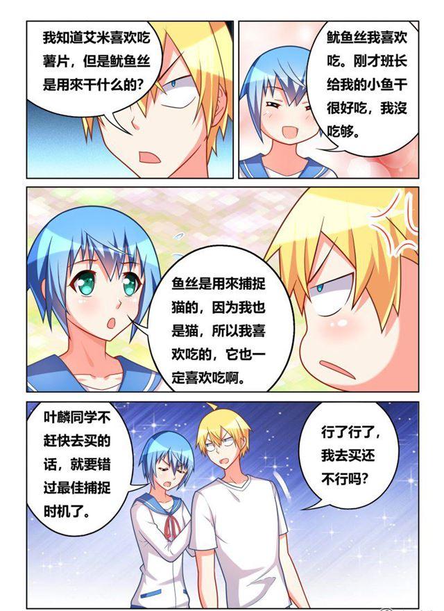311 艾米捕获装置6