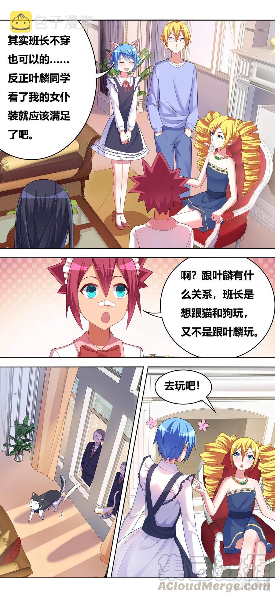 662 猫狗乐园9
