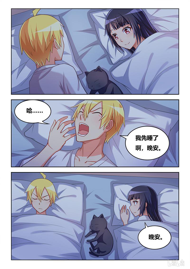 427 以猫为界6