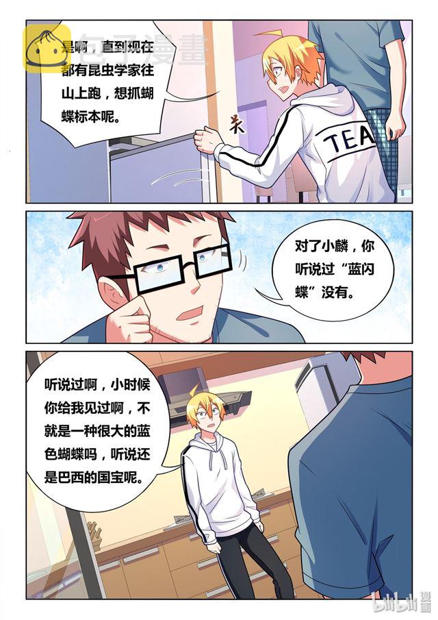 467 蓝闪蝶10