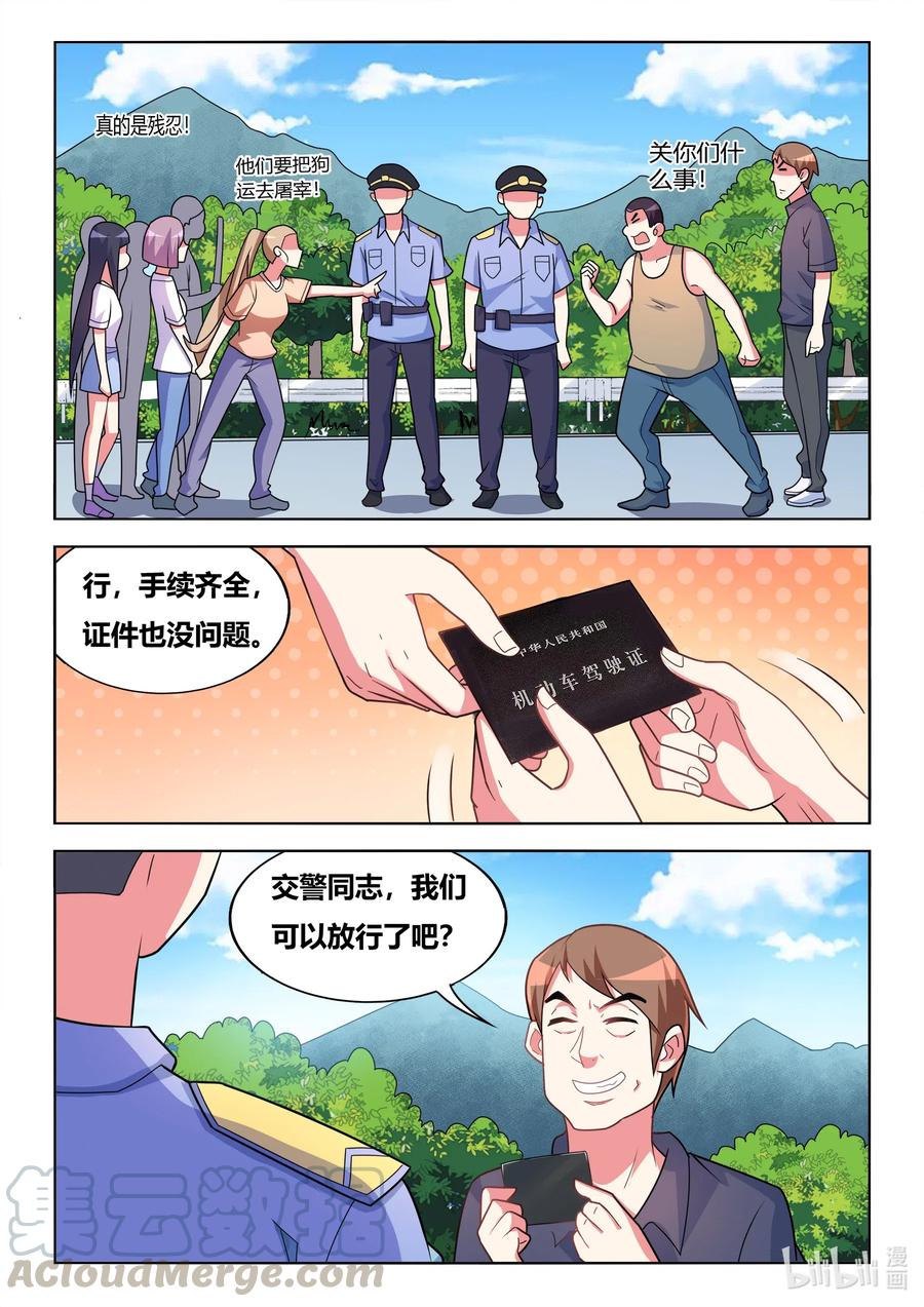 591 拦车救狗8