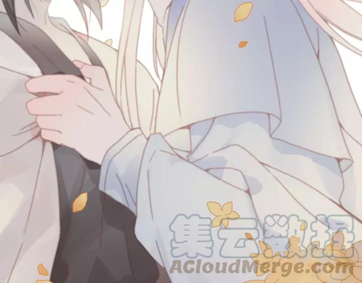 15话 哔——29