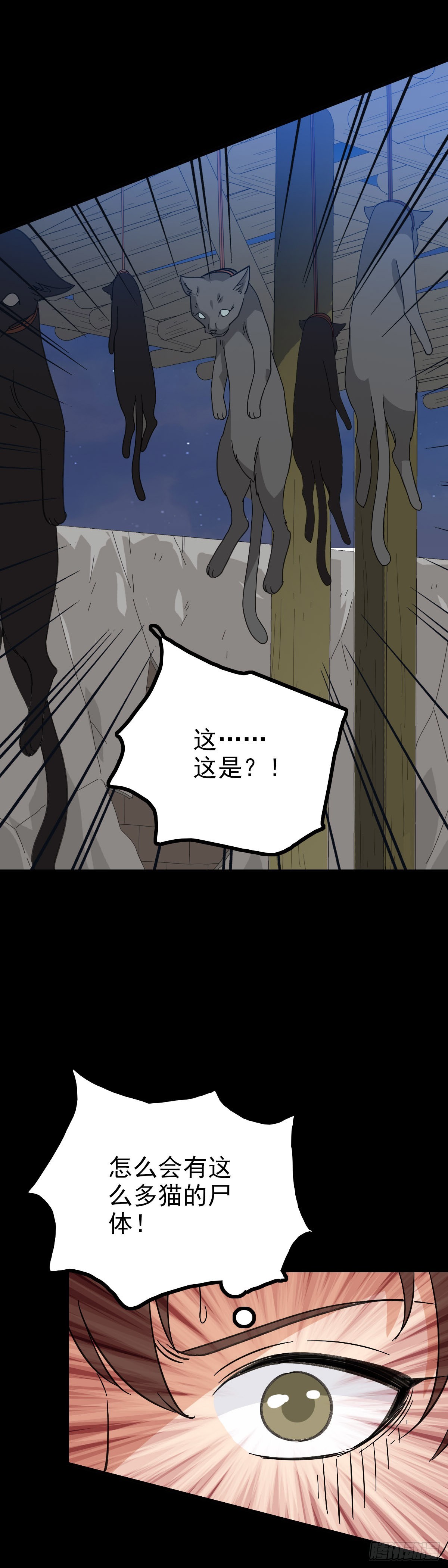 黑猫地煞10