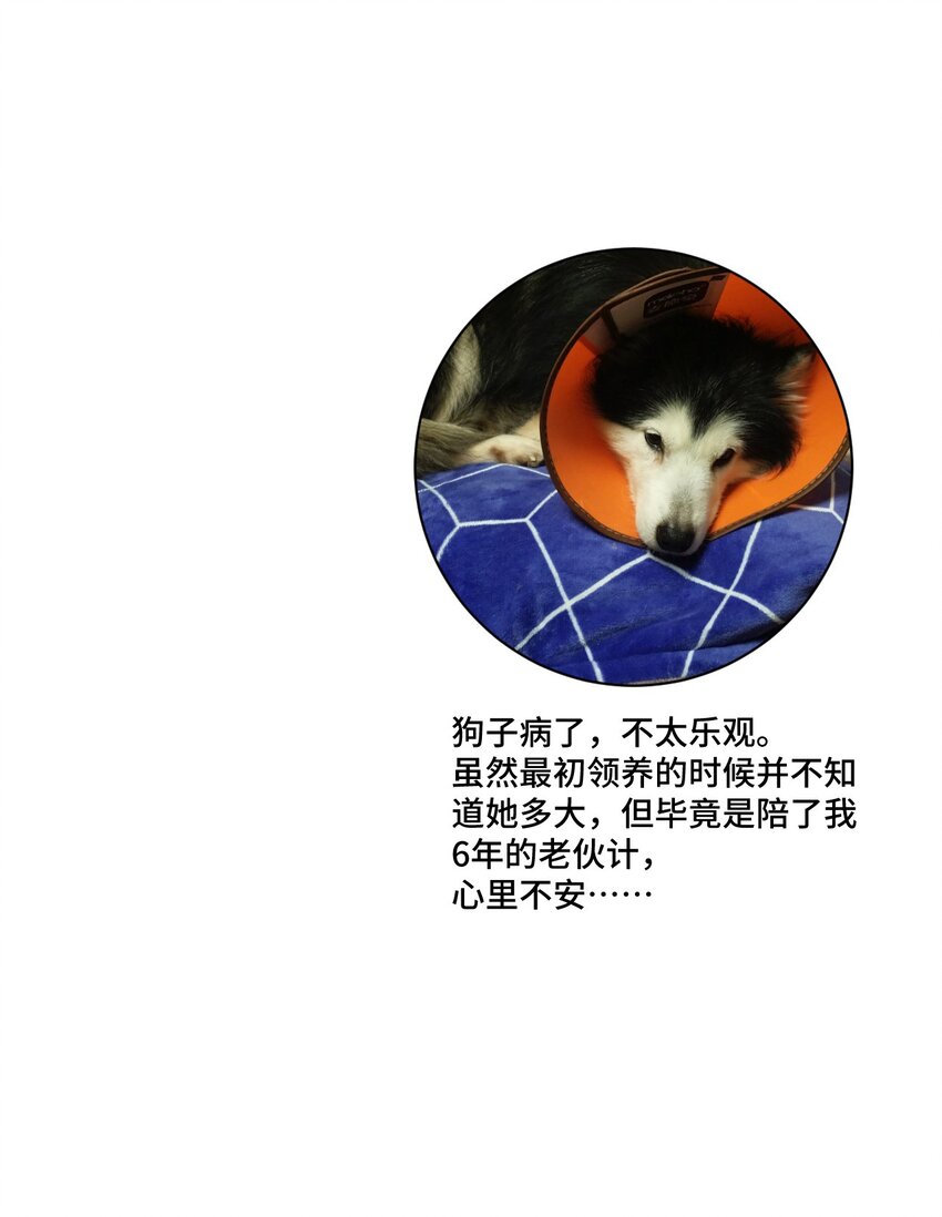 67 黑暗中的遗漏56