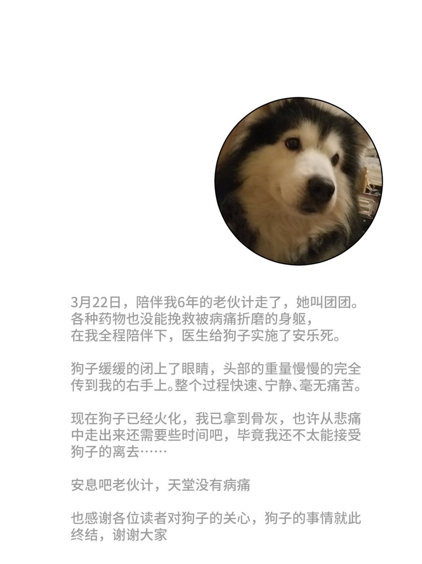 73 独自应战53