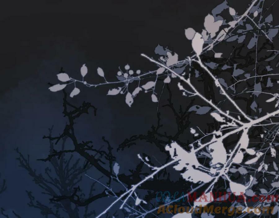 第46话 随心4