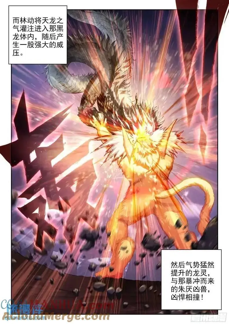 215 找上门来10