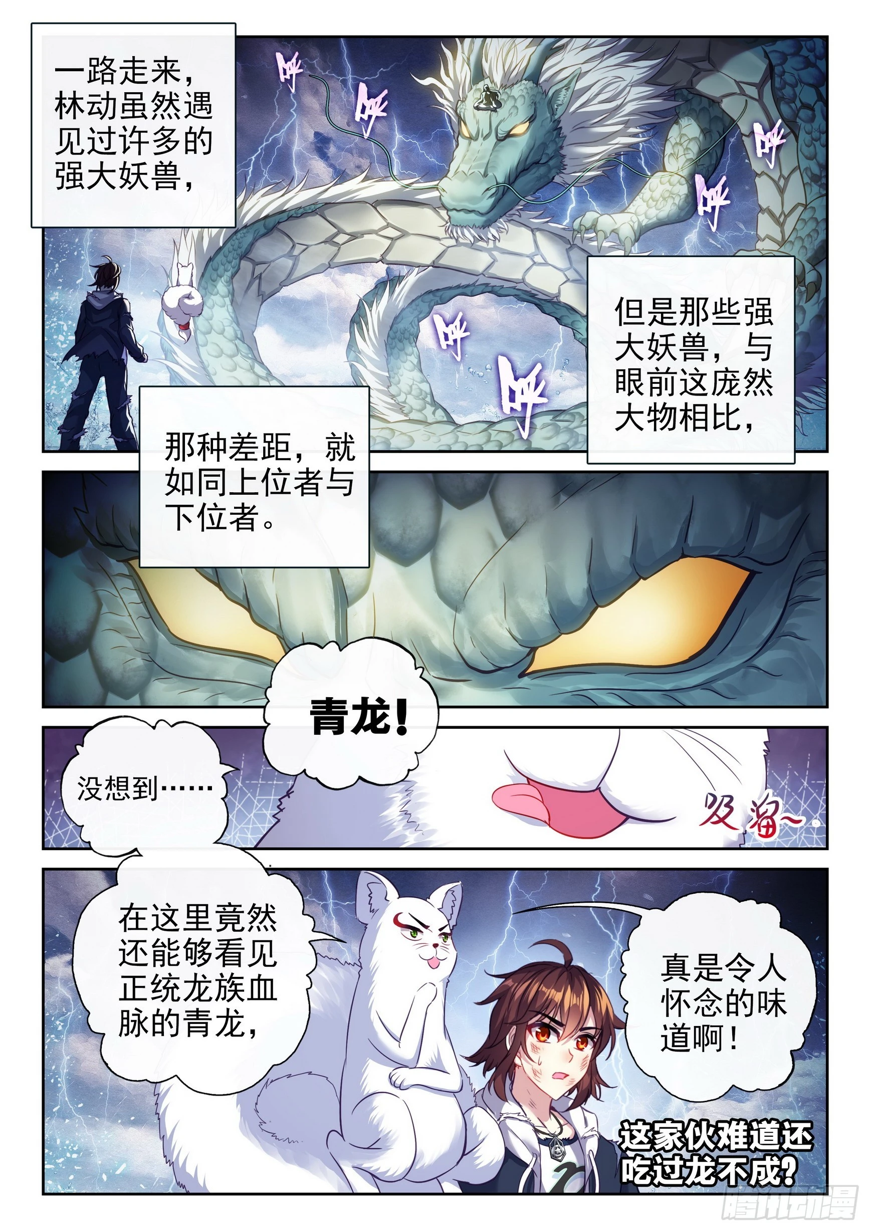 190 神秘的青雉1