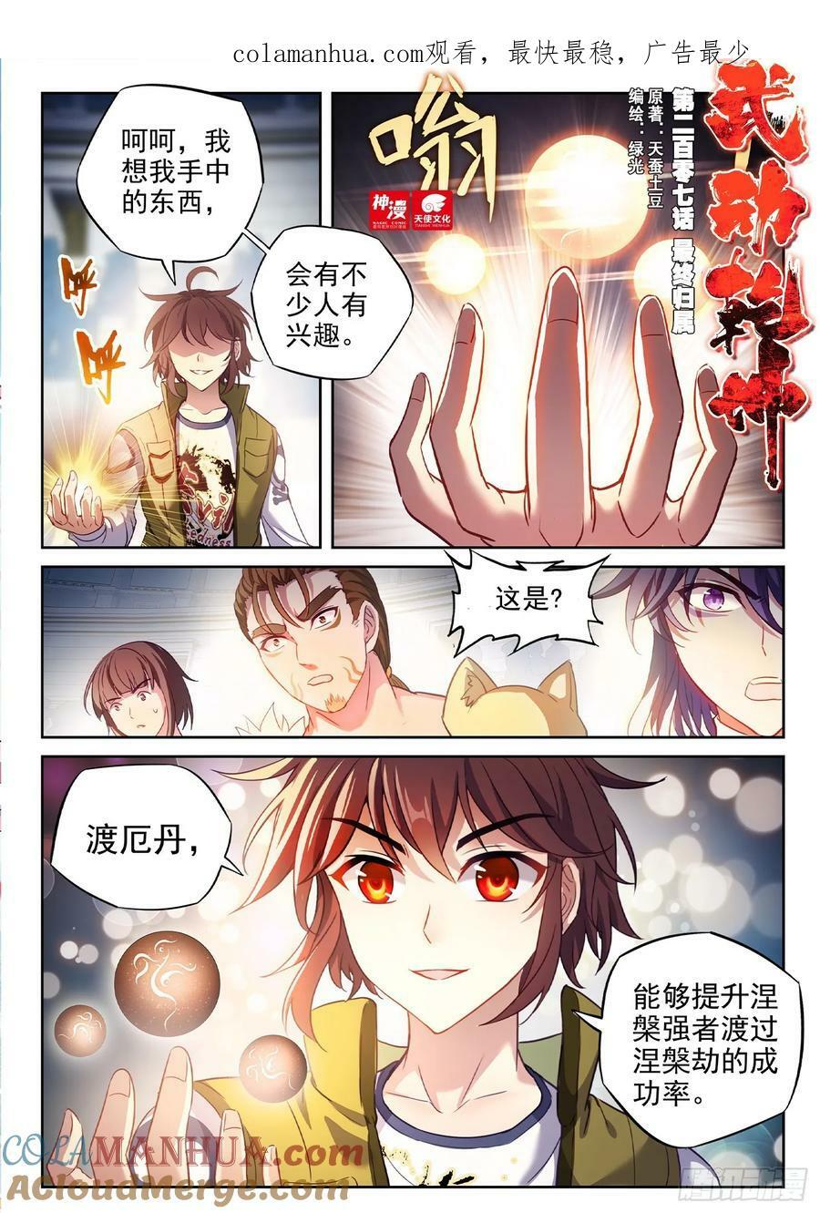 207 最终归属0