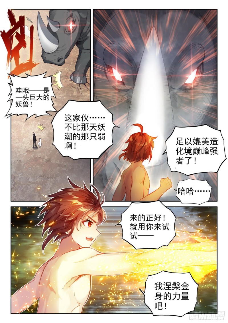 112 修炼金身11