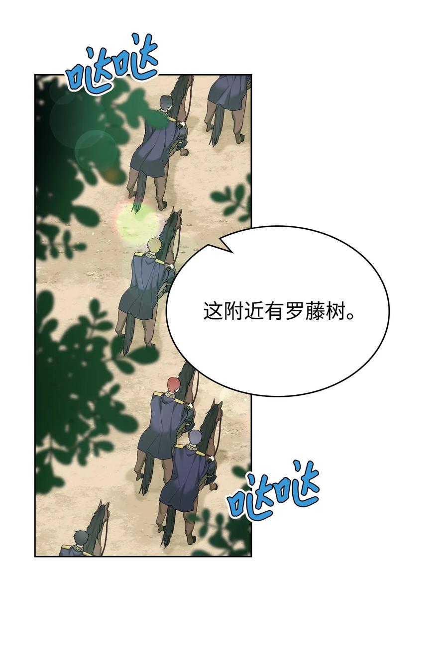 40 围剿魔物25