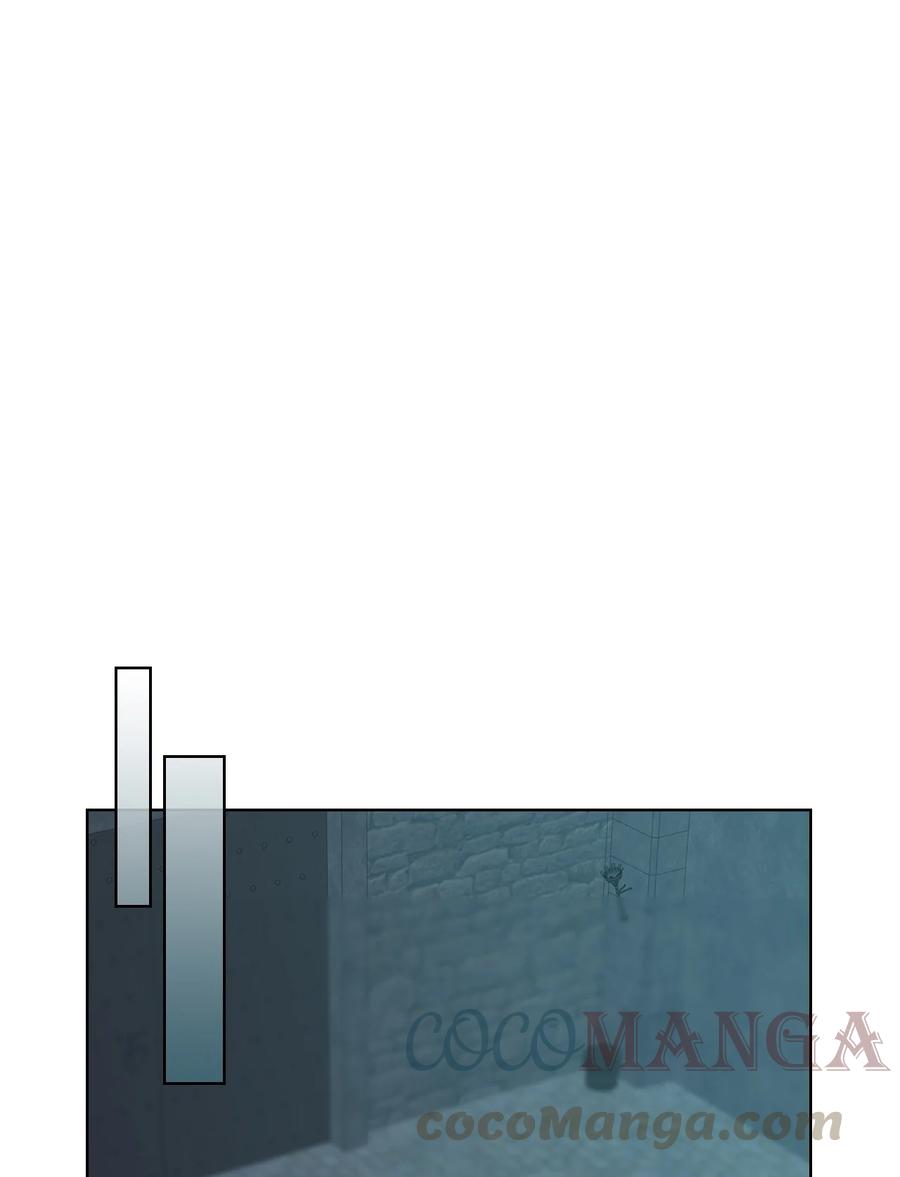 32 竞拍场66