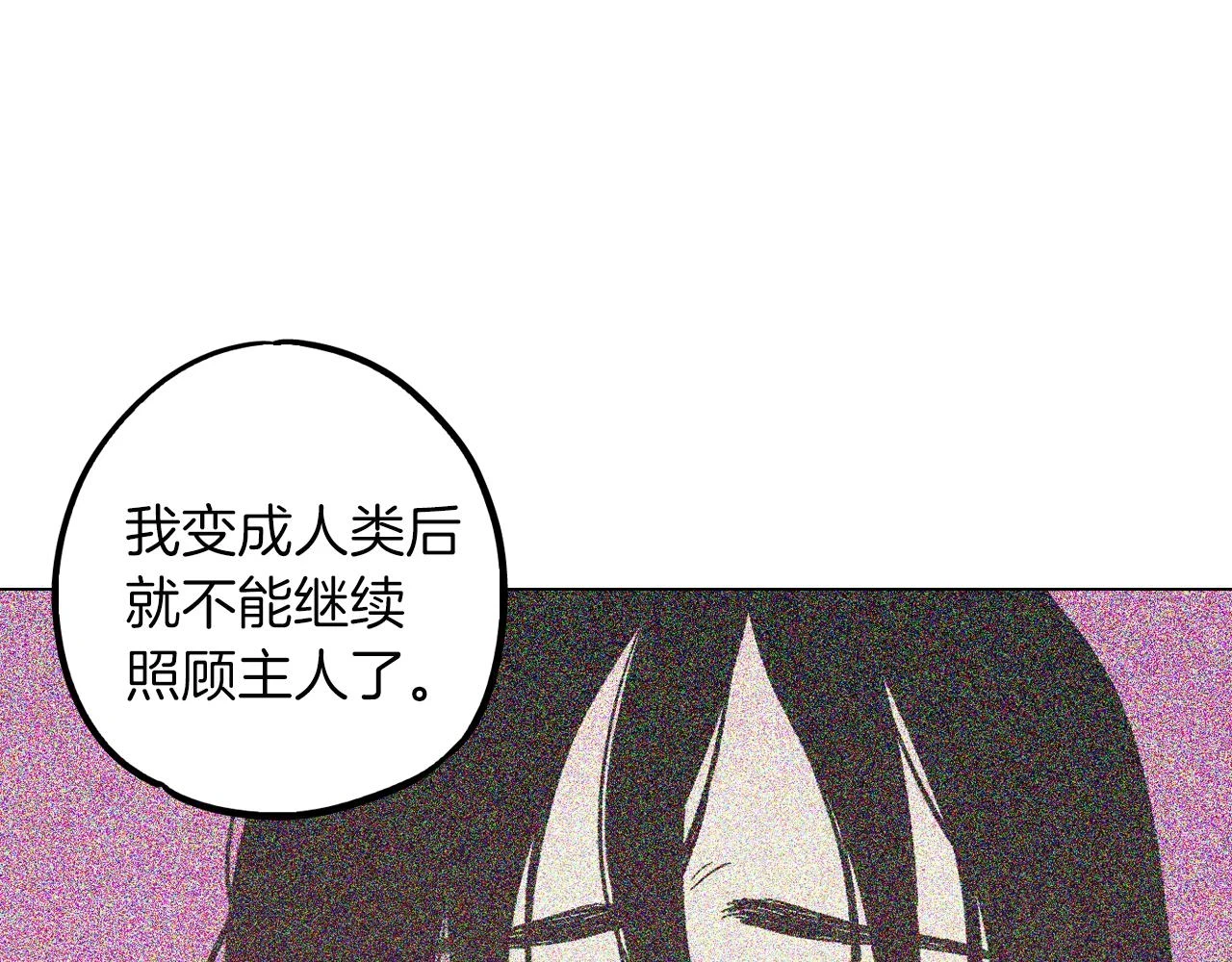 第二季 第31话 他是我的65
