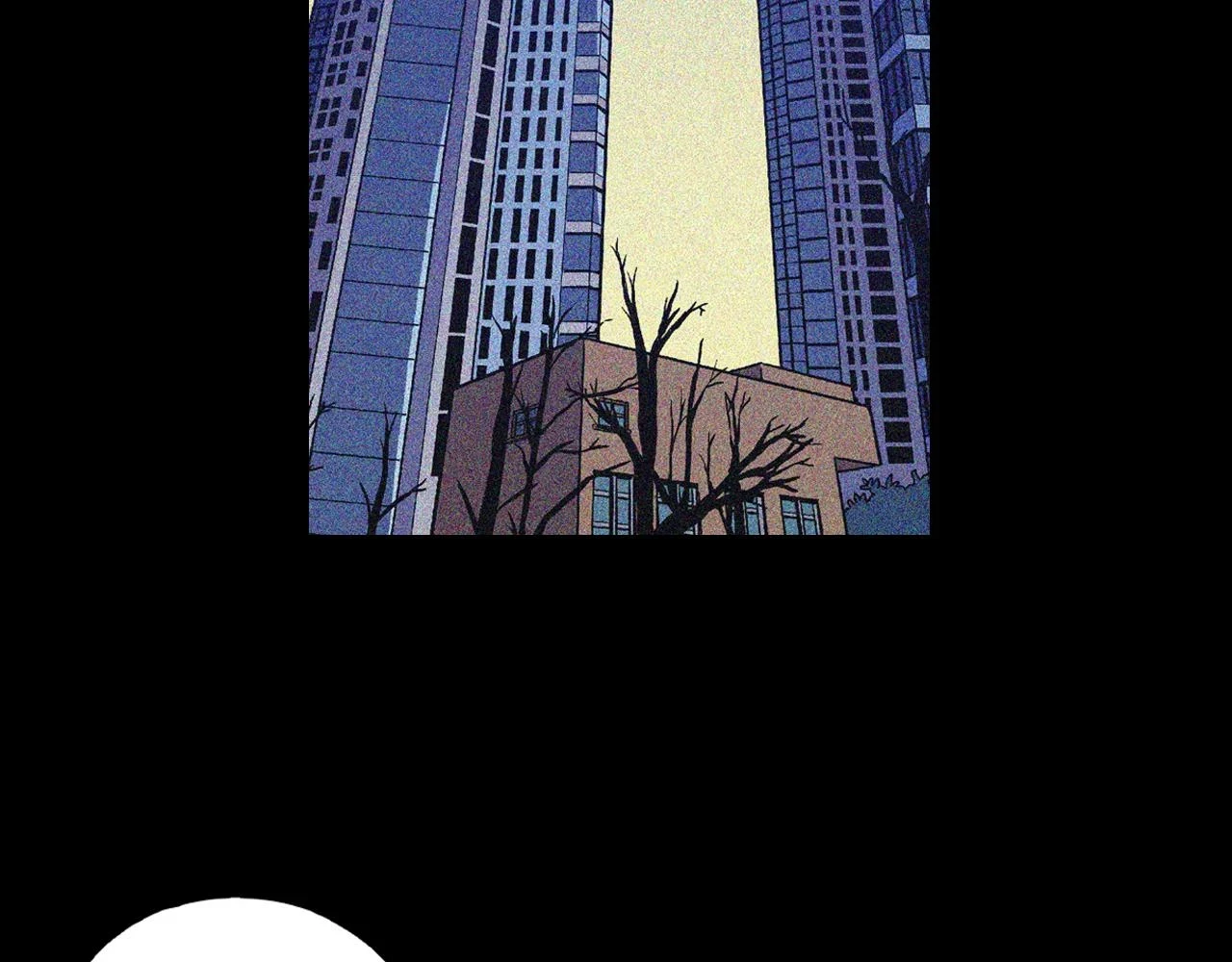 第二季 第41话 新的契约36