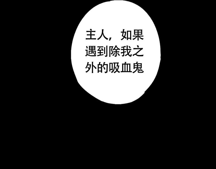 第2季，华丽回归！41