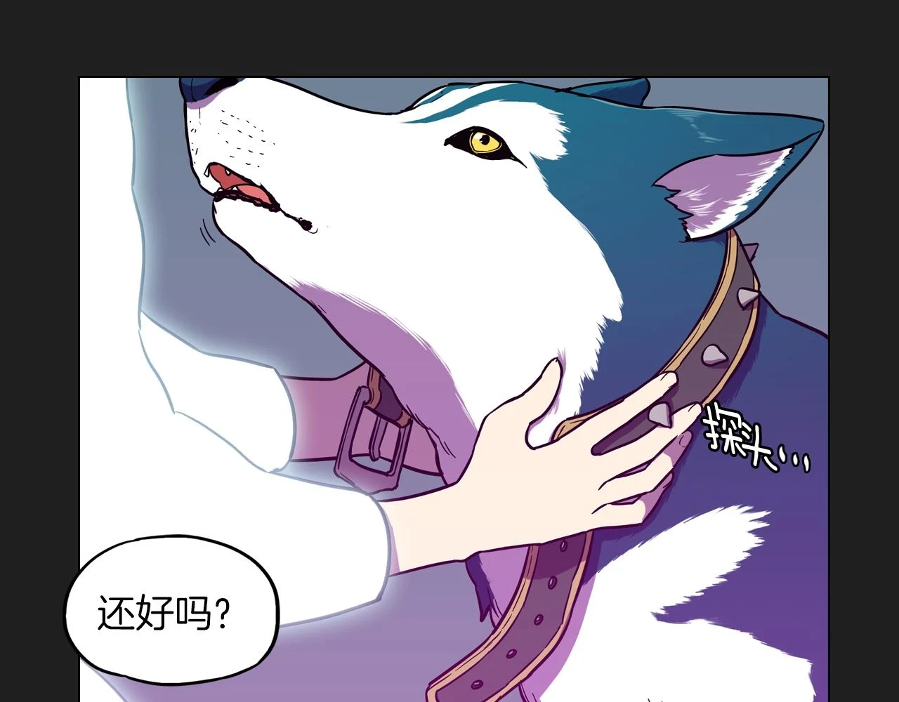 第二季 第28话 男朋友？13