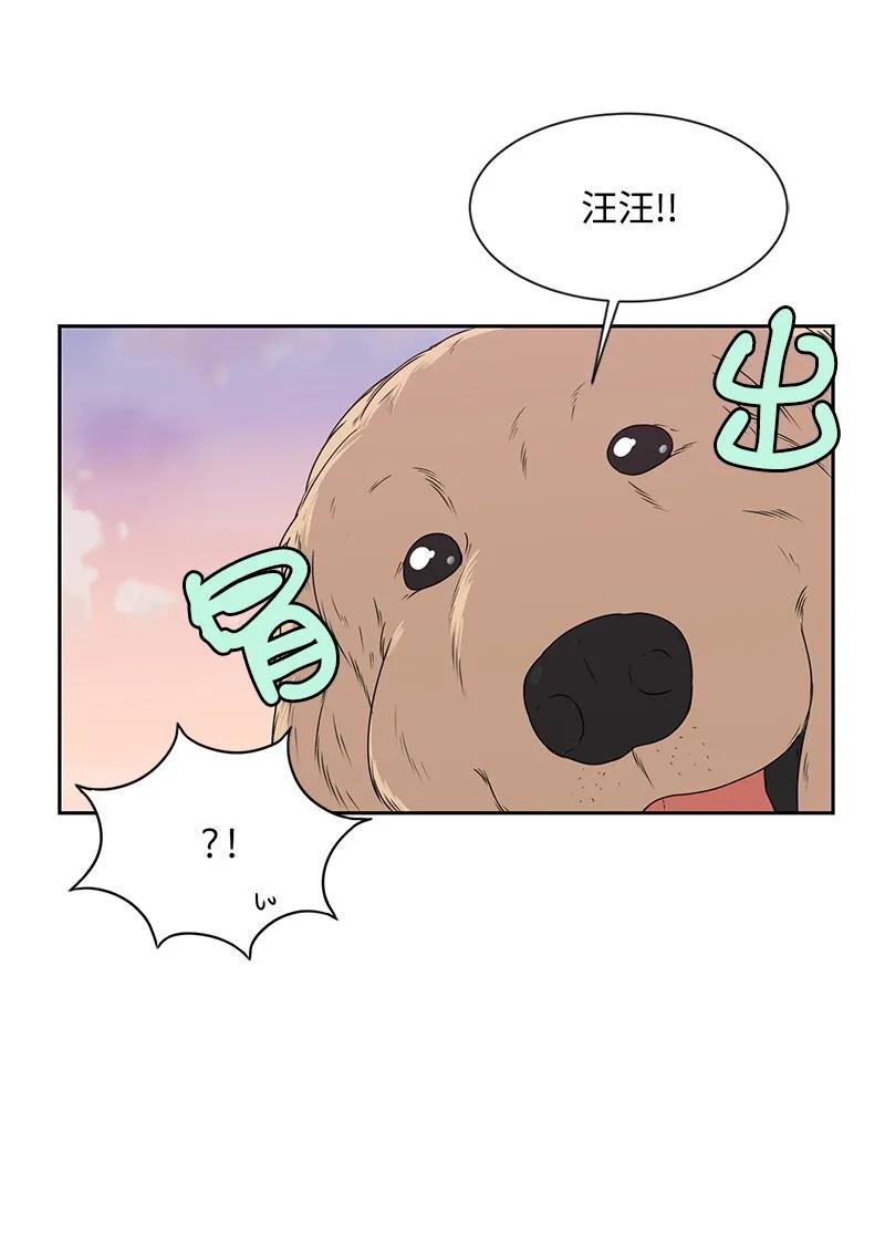 20 恋爱关系30