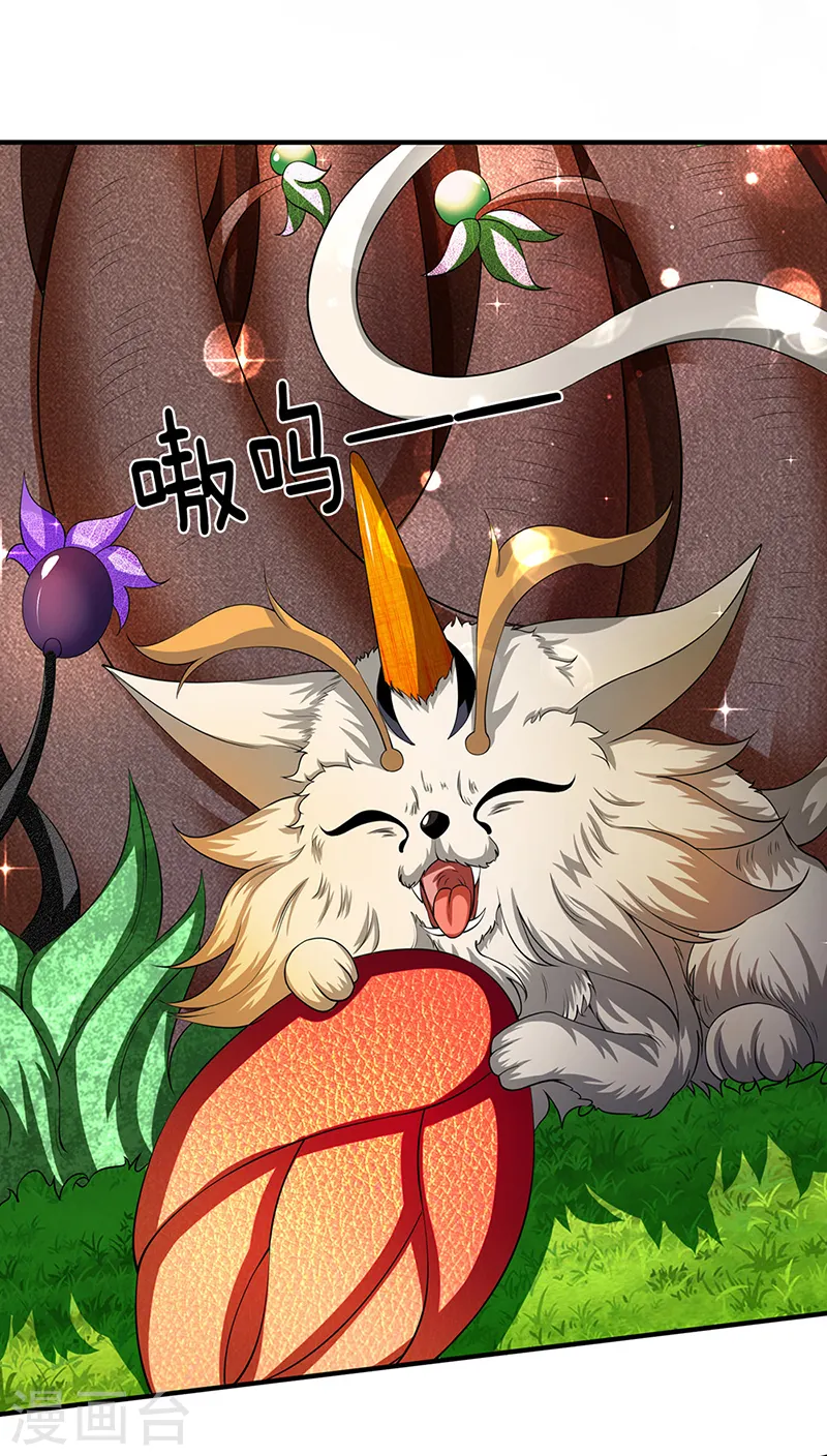 第140话 敢抢本猫果果！10