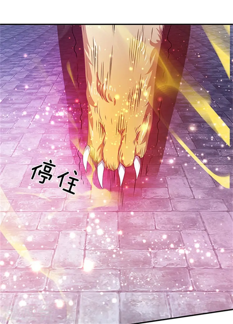 第78话 撸猫能手18