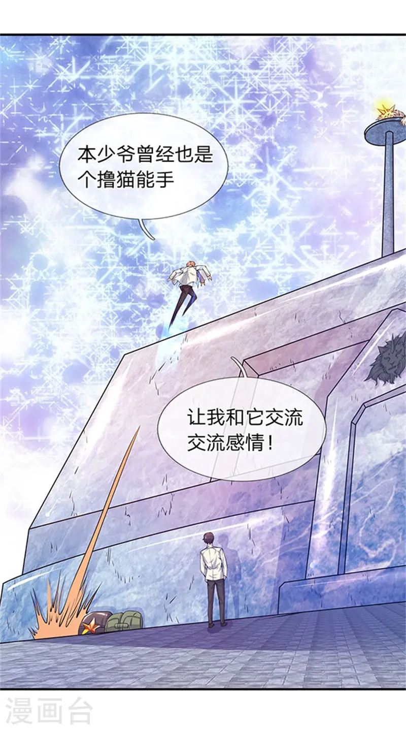 第78话 撸猫能手1