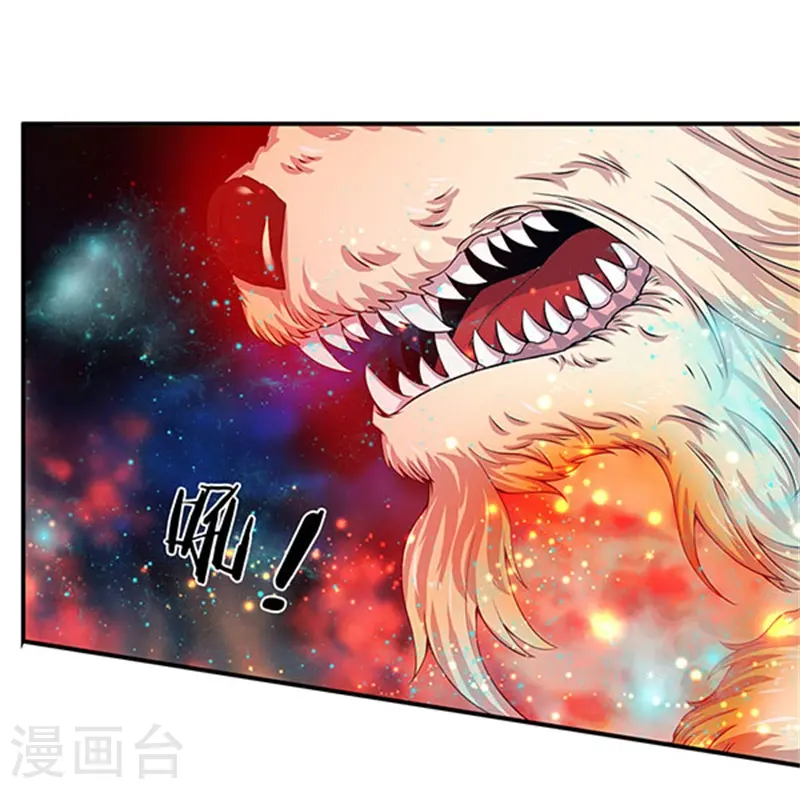 第78话 撸猫能手6