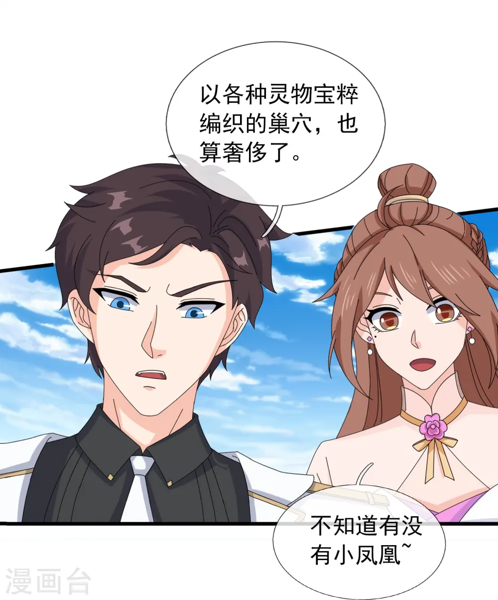 第381话 凤凰血脉15